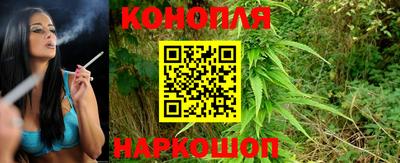 apvp Краснодар