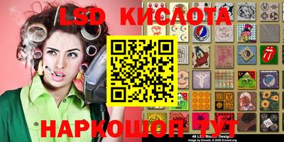 apvp Краснодар