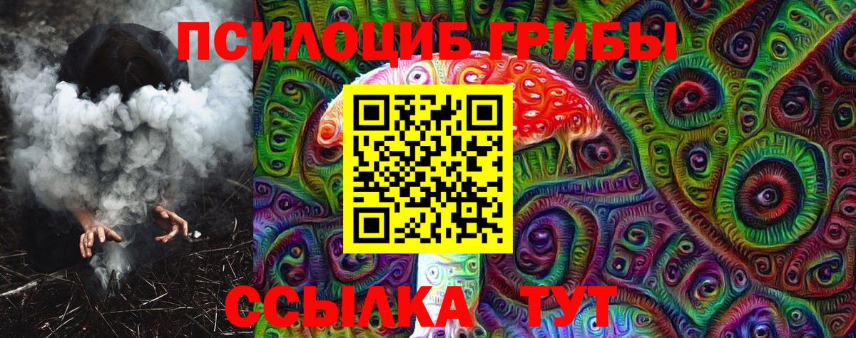 Галлюциногенные грибы MAGIC MUSHROOMS  Вход с VPN  Тайшет 